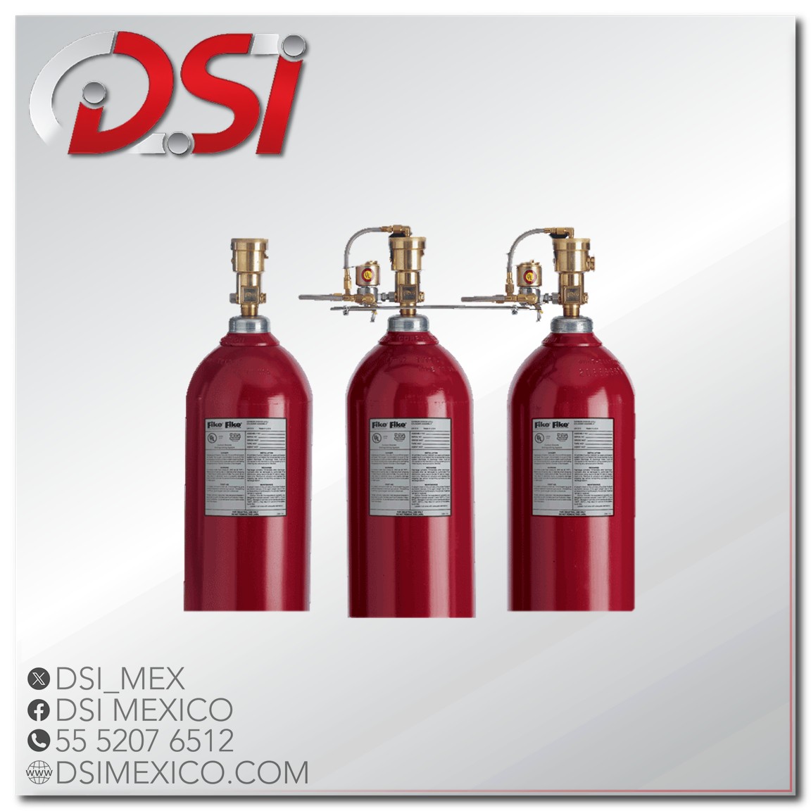 Cilindro de nitrógeno de agua nebulizada Micromist 73-0012 Fike