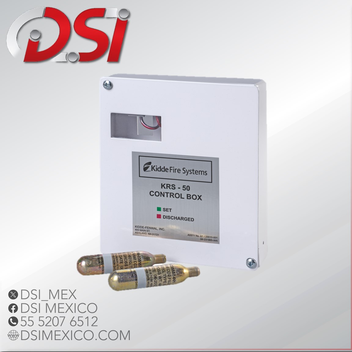 Conjunto de caja de control krs-50 Wet Chemical