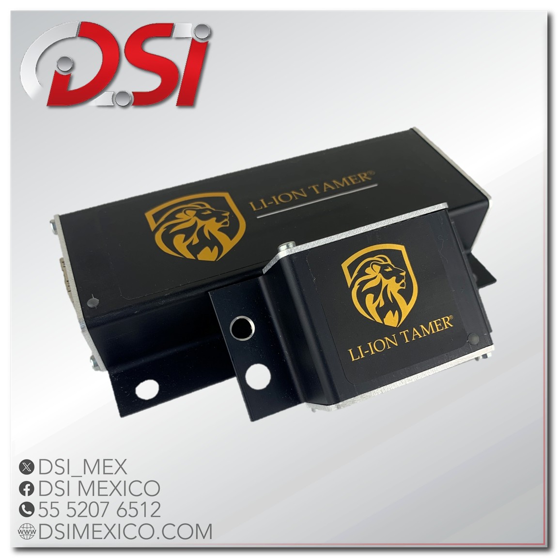 LT-SEN-M Sensor de monitoreo para sistema Li-on Tamer