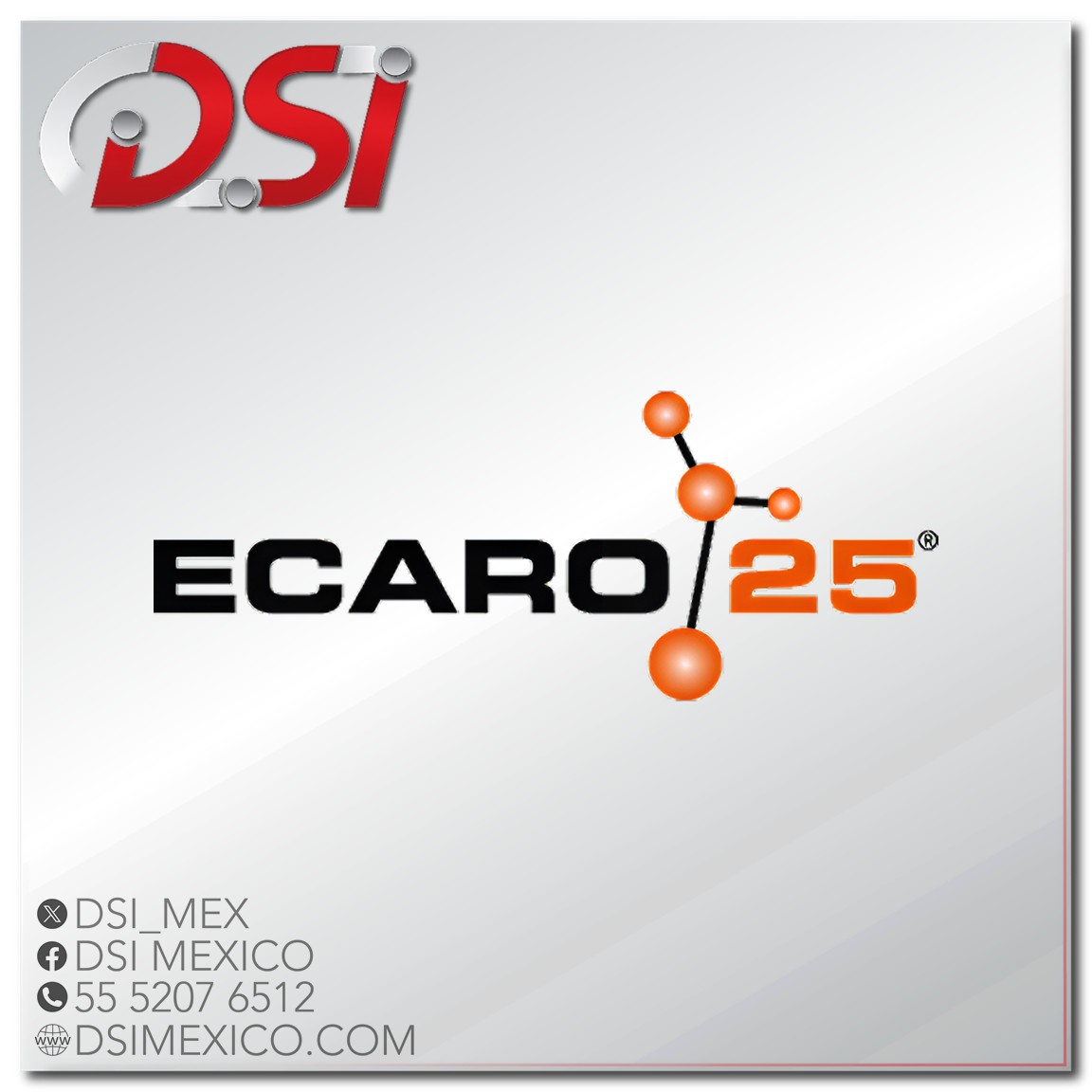 ECARO 25