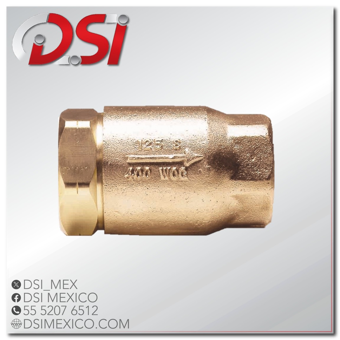 Válvula check de alta presión