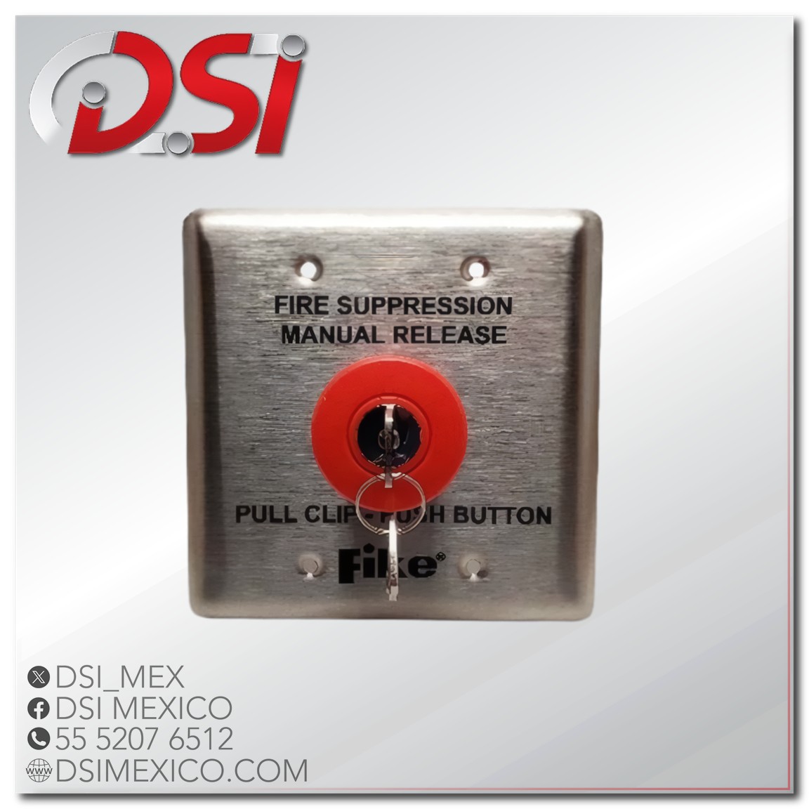 Estación manual de descarga de agentes limpios - Fike