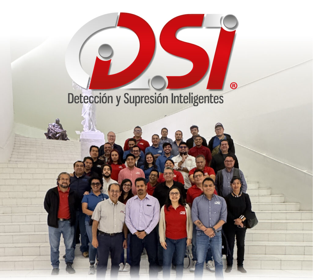 Grupo DSI