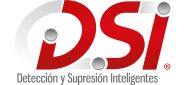 Logo DSI Original