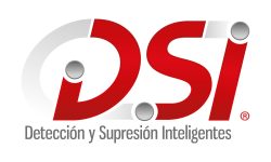 Logo DSI Original
